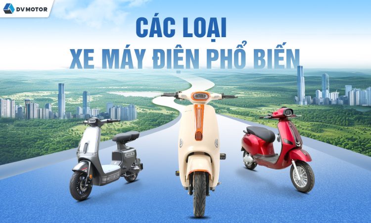 các loại xe điện cao cấp