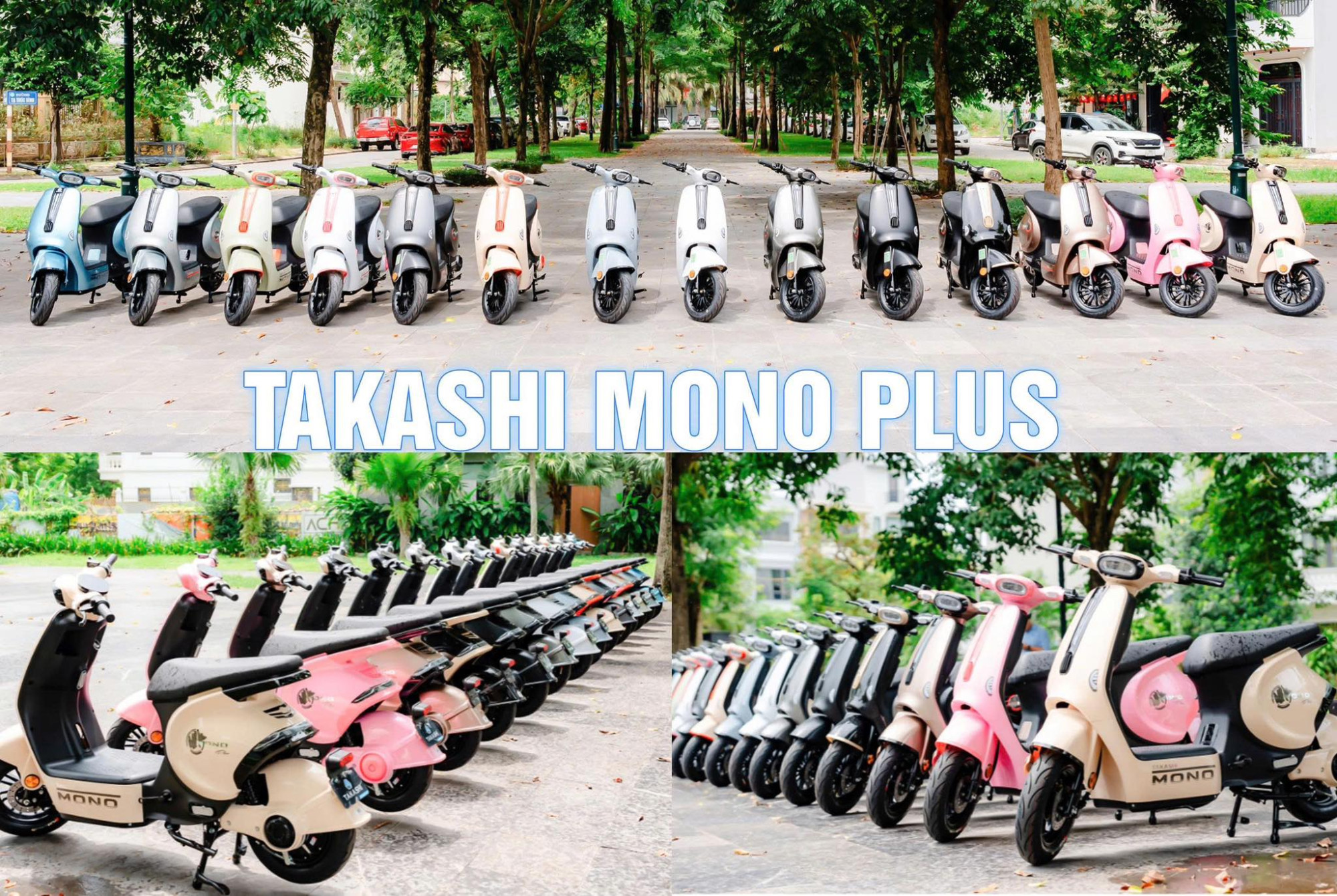 đa dạng các loại xe điện DVMotor