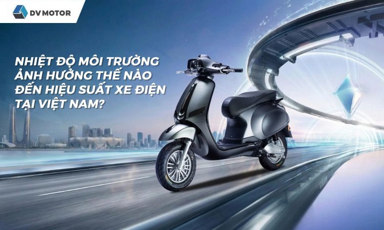 Xe điện Dv T6